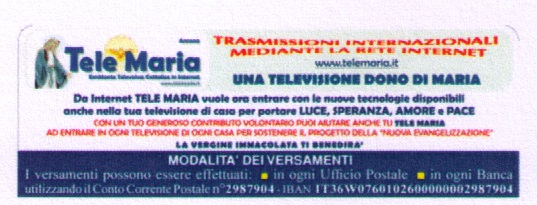 Questo testo viene mostrato quando l'immagine è bloccata